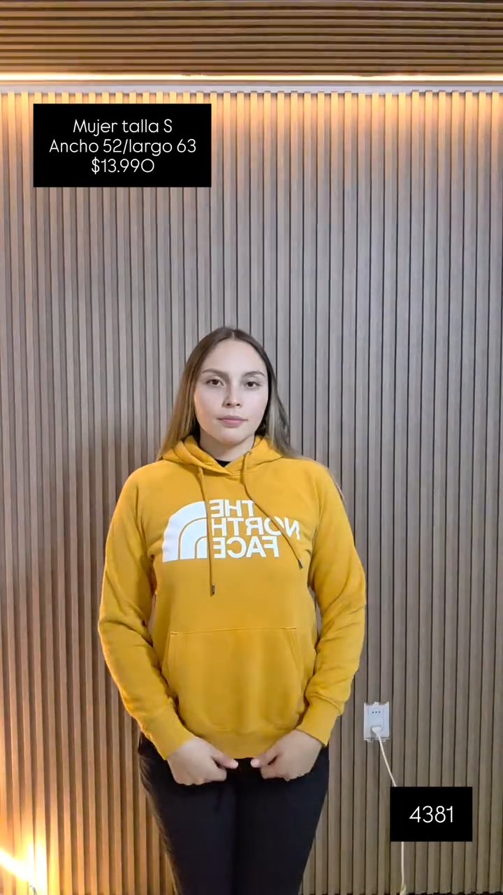 The North Face · Polerón
