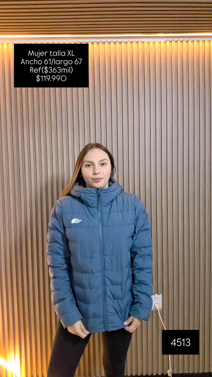 The North Face · Chaqueta