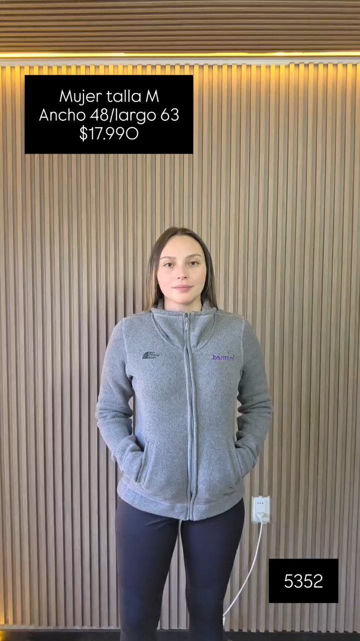 The North Face · Sueter